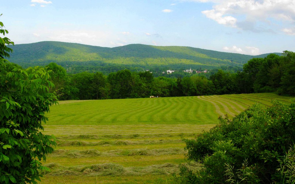 vernon valley farm - rolling hay fields and hills