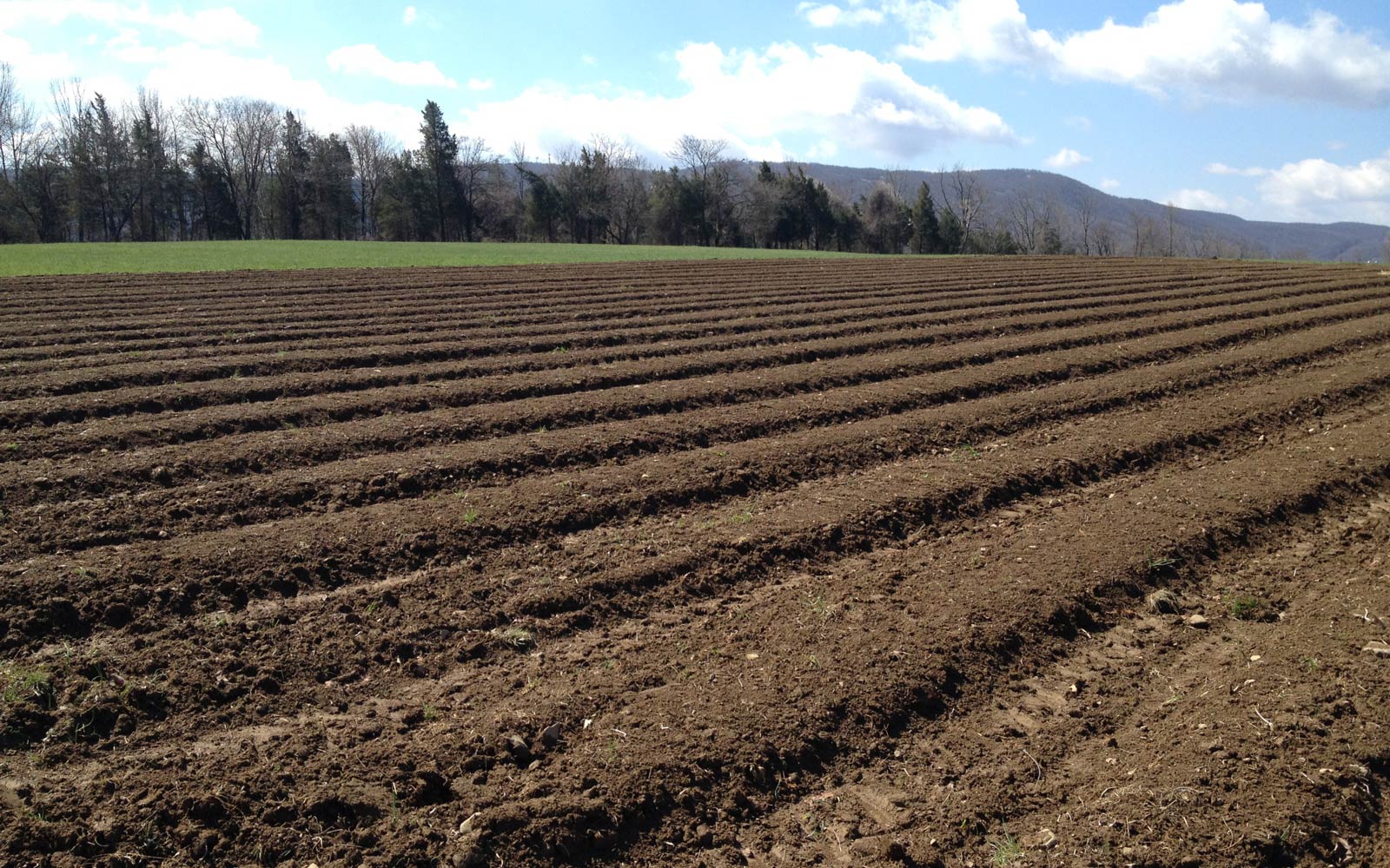 vernon valley farm - vegetable bed