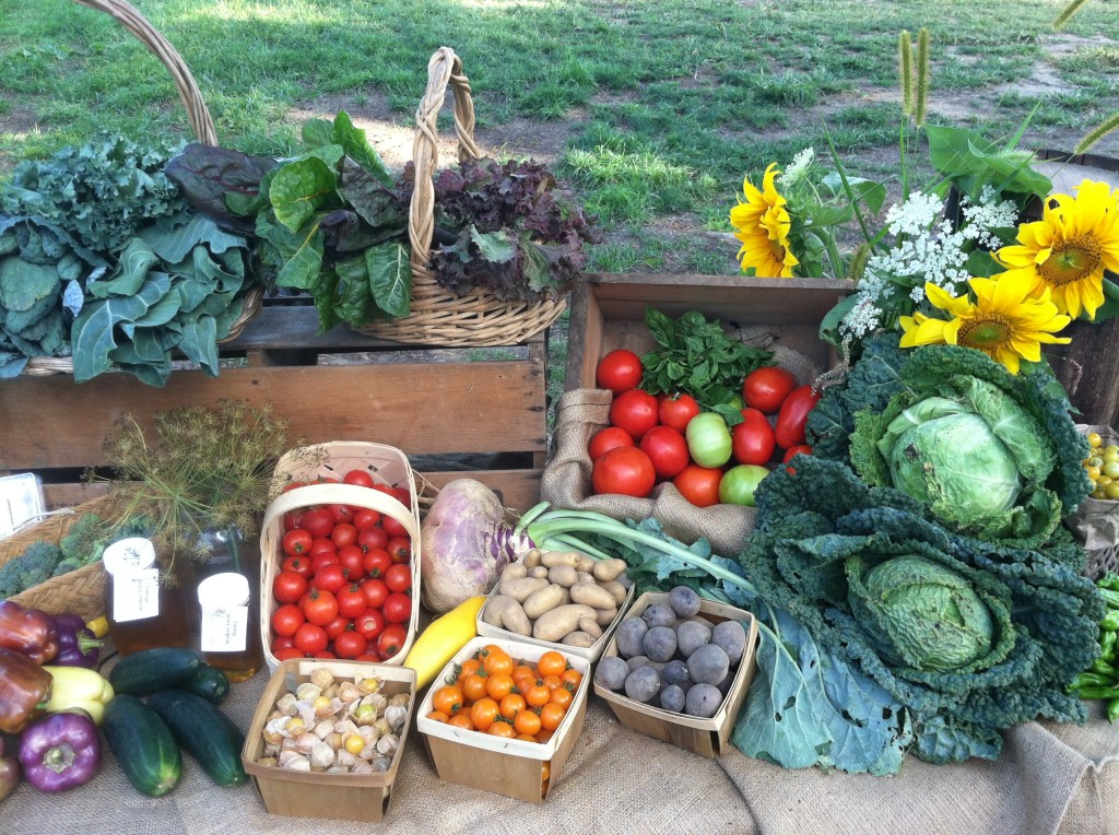 Farmstand Vegetable Selection – Vernon Valley Farm
