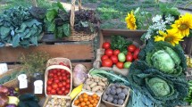 Farmstand Vegetable Selection – Vernon Valley Farm