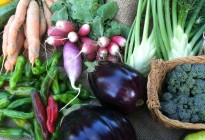 Root Vegetables - Vernon Valley Farm